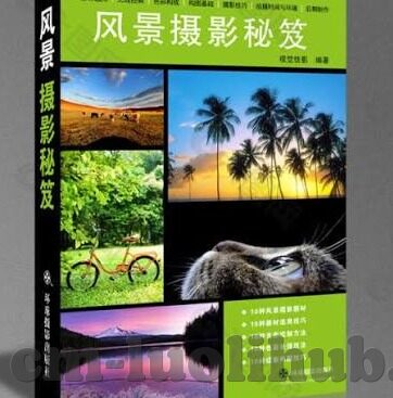 511伦理-511伦理，在数字时代重塑道德边界