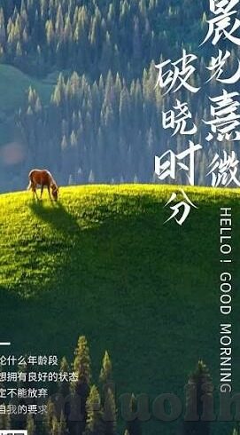 av一区二区在线观看-解锁视听新境界，探索AV一区二区在线观看的多元体验