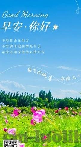 东京热麻豆九色91精品-东京热麻豆，九色91精品——寻找成人世界的美学