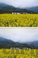 麻豆91国语视频-麻豆91国语视频，新时代的网络文化现象与争议
