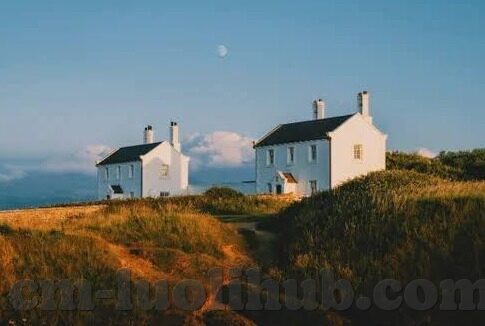 麻豆传媒免费网站入口-慎入！网络陷阱识别与免俗指南——揭开麻豆传媒免费网站入口的真面目
