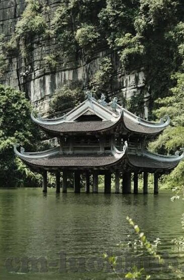 麻豆免费在线视频-探索多元化娱乐视野，免费在线视频的魅力与边界