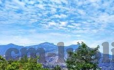 糖心直播app怎么样-全方位解析糖心直播——了解其特色与影响
