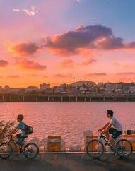 在线观看免费麻豆av-网络时代下的影视娱乐新选择，免费、安全与多样性