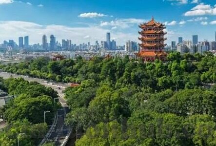 最近更新中文字幕全集免费-最新影视盛宴，免费中文字幕全集更新